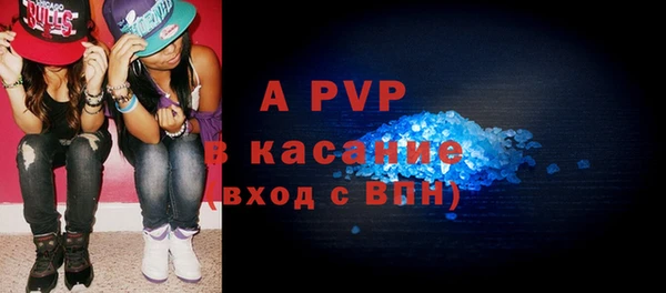 стаф Карпинск