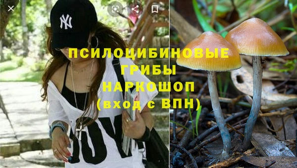гидра Киренск