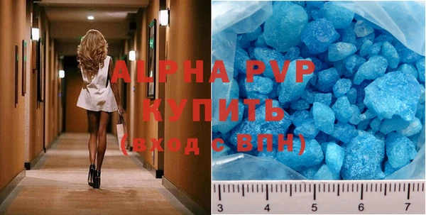 стаф Карпинск