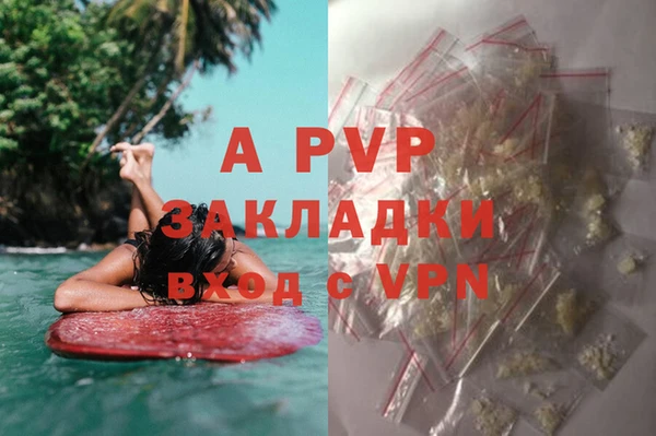 apvp Касимов