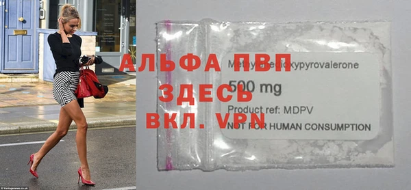 стаф Карпинск