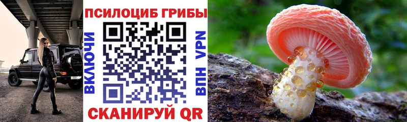 наркотики Павловская Псилоцибиновые грибы MAGIC MUSHROOMS