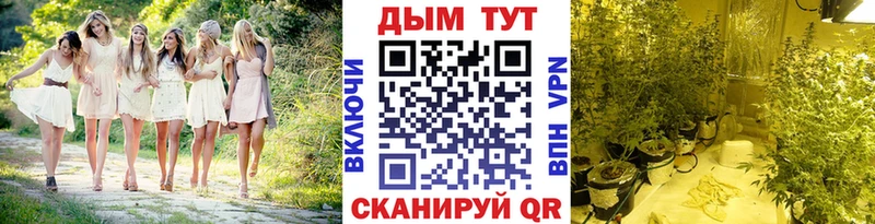 что такое наркотик Павловская Каннабис индика
